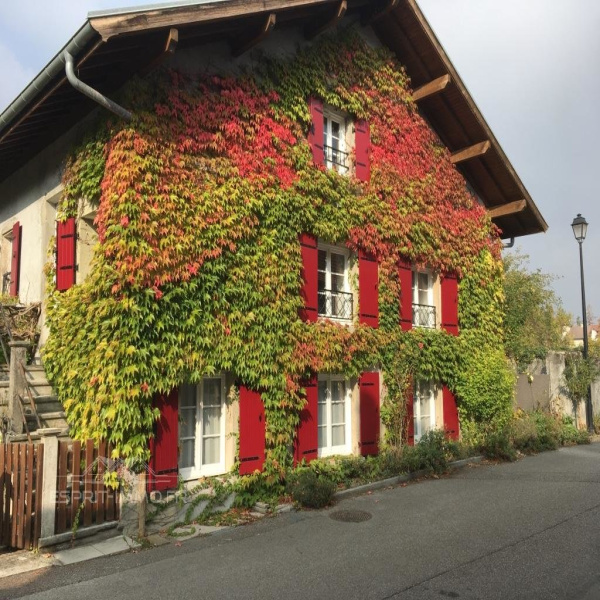 Offres de vente Maison de village Seyssel 74910